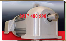MOTOR GIẢM TỐC MITSUBISHI 