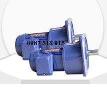 Motor TungLee mặt bích