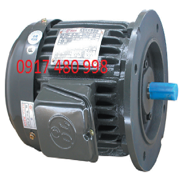 MOTOR 3FA Mặt Bích