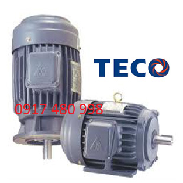 Motor TECO