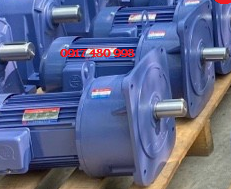 Motor TungLee mặt bích