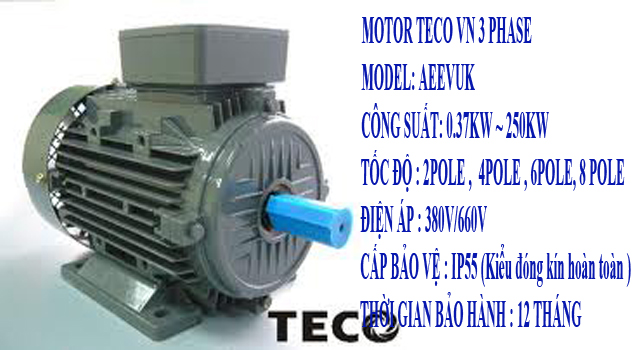 MOTOR-TECO AEEV