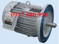 MOTOR MITSUBISHI MẶT BÍCH