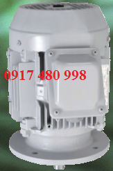 MOTOR TOSHIBA MẶT BÍCH